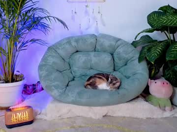 girl Lovely Sex Cam Girls Love To Fuck with evelyn_chelle